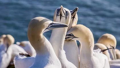 星空体育网页-探索电竞新时代——im电竞平台,开启你的极致游戏体验