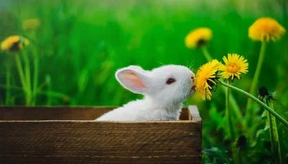 星空体育全站-山西男篮啦啦队社媒晒日常：不午休的山西人在哪里呢